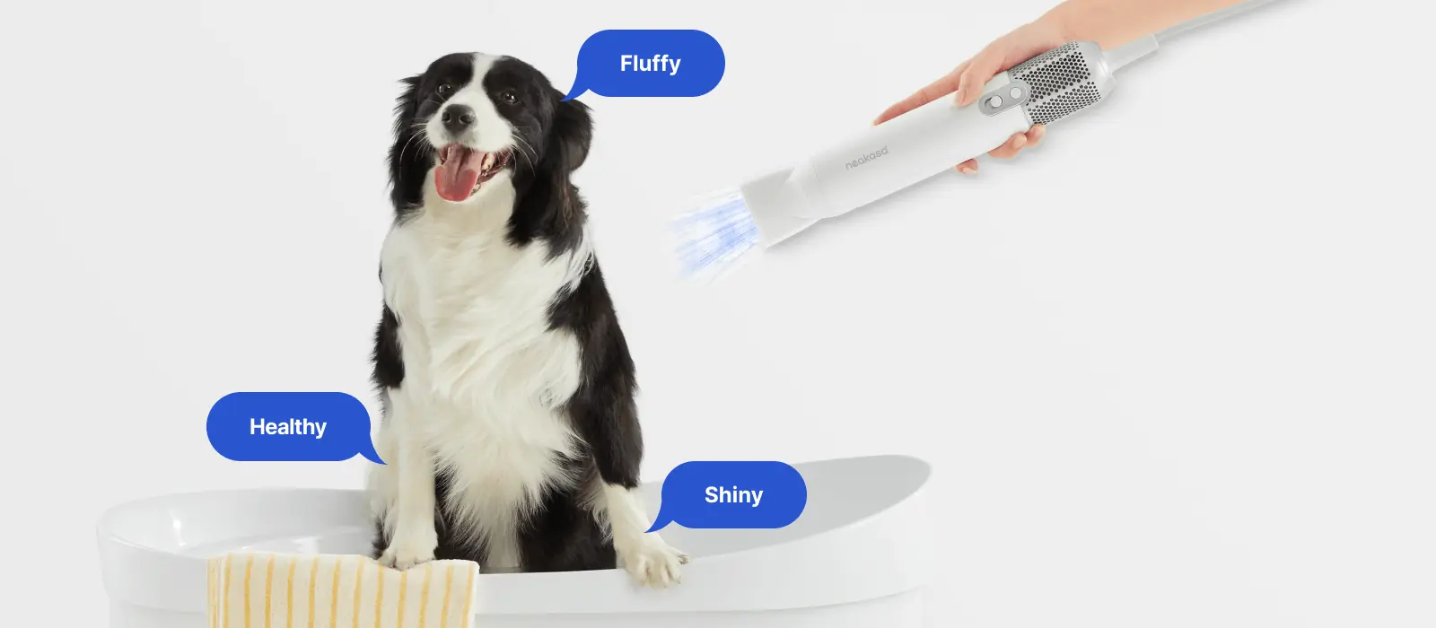 Neakasa Store Products & Pricing