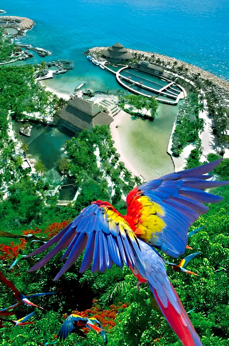 Xcaret coupon image